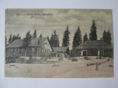 Carte postala Munții Bucegi:Cabana cu sănii,necirculată circa 1915 foto