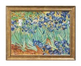 Cumpara ieftin Tablou celebru inramat pictat manual, Irisi la Saint-Remy, 45x35cm ulei pe panza reproducere Vincent van Gogh
