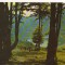 CPIB 16176 CARTE POSTALA - TUSNAD. LACUL SF. ANA