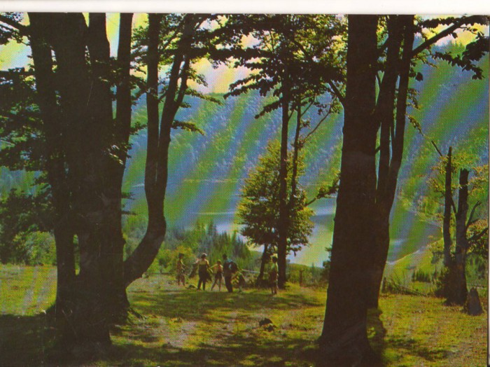 CPIB 16176 CARTE POSTALA - TUSNAD. LACUL SF. ANA