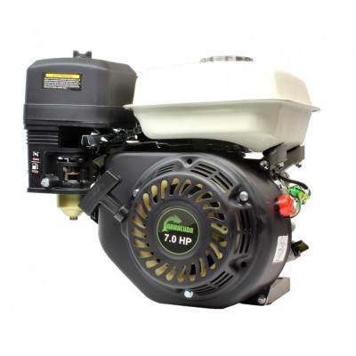 Motor cu ardere interna 7CP GX160 B-GX160RR19 foto