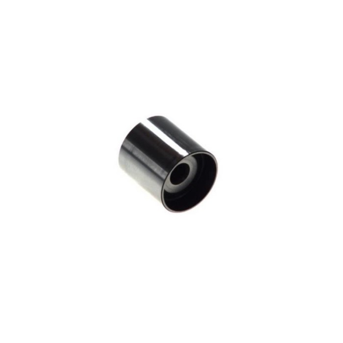 Rulment intinzator snr