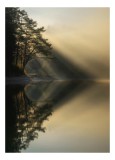 Tablou Canvas, "Lumină de dimineață pe lac liniștit", Copaci, Lumină, Reflecții, Liniște, Apă, Natură, Mister, Apus, 26 x 39 cm, CMCLASS
