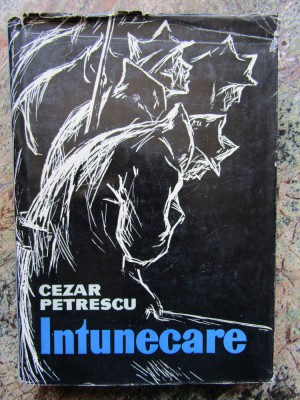 CEZAR PETRESCU - INTUNECARE CARTONATA foto