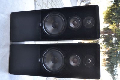 Boxe Canton CT 80 foto