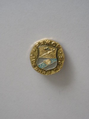 QW9 N5 41 - insigna - orase - Rajsk foto