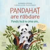 Pandahat are rabdare PlayLearn Toys, DPH