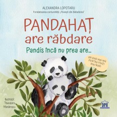 Pandahat are rabdare PlayLearn Toys foto