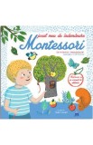 Jocul meu de indemanare Montessori - Celine Santini, Vendula Kachel