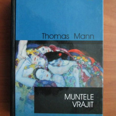 Thomas Mann - Muntele Vrajit - Rao 1999