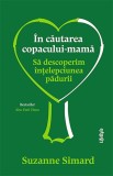 Cumpara ieftin In cautarea copacului-mama. Sa descoperim intelepciunea padurii