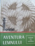 Aventura lemnului - Mariana Flamand