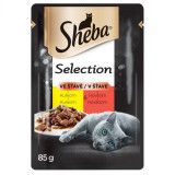 Sheba Selection Pui și vită, pungă 85 g