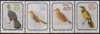 AFRICA DE SUD - 1990 - Pasari, Fauna, Nestampilat