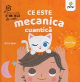 Cumpara ieftin Ce Este Mecanica Cuantica, Ruth Spiro - Editura Gama