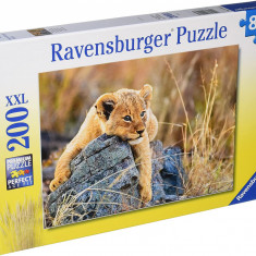 Puzzle 200 piese - Micul Leu, XXL | Ravensburger