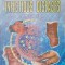 INFECTIOUS DISEASES-EGIDIA MIFTODE, VASILE LUCA