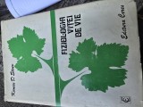 FIZIOLOGIA VITEI DE VIE de KUNIU D. STOEV , 1979