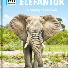 Elefántok - Ormányos óriások - Mi Micsoda - Andrea Weller-Essers
