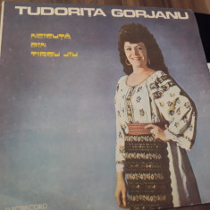 VINIL TUDORITA GORJANU-NEICUTA DIN TIRGU-JIU EPE03011 DISC IN STARE EXCELENTA