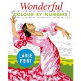 Wonderful Colour by Numbers Large Print