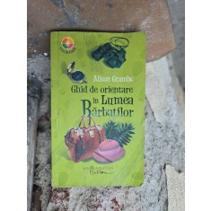 Ghid de orientare &icirc;n Lumea Bărbaților - Alison Grambs
