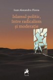 Cumpara ieftin Islamul politic, &icirc;ntre radicalism și moderație - Paperback brosat - Ioan Alexandru Florea - Tracus Arte