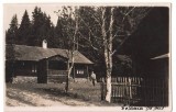 Cumpara ieftin SV * Colonia de Sus / Runcu Mic / denumire RSR Colonia 1 Mai * FOTO Anii &#039;30, Circulata, Necirculata, Fotografie, Printata, Sacele