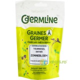 Seminte de Floarea Soarelui pentru Germinat Ecologic/Bio 100g