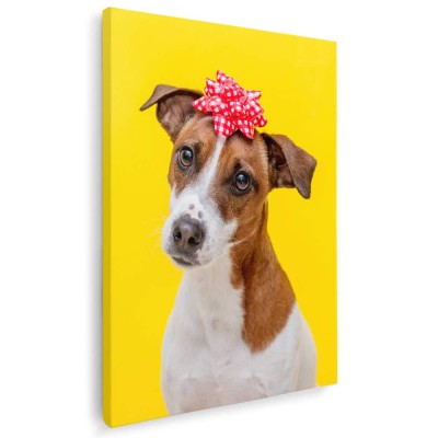 Tablou caine Jack Russell Terrier cu funda Tablou canvas pe panza CU RAMA 60x80 cm foto