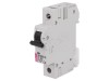 Intrerupator supracurent ETI POLAM ETIMAT 10 25A 1P 10kA 230/400V AC