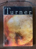 Vasile Nicolescu - Turner