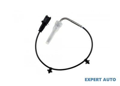 Senzor temperatura gaze dpf Suzuki Swift 4 (2010-&amp;gt;)[FZ,NZ] #1 foto