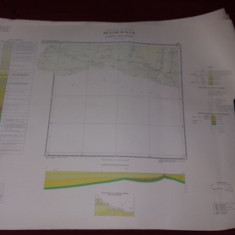 Plansa/harta geologica a republicii socialiste romania,CALAFAT-BECHET 1966,T.GRA