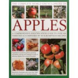 The Complete World Encyclopedia of Apples