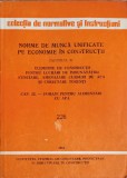 NORME DE MUNCA UNIFICATE 226-INSTITUTUL CENTRAL DE CERCETARE, PROIECTARE SI DIRECTIVARE IN CO-242261