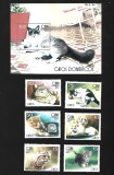 cuba pisici mnh