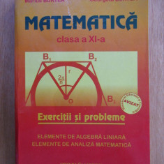 Marius Burtea - Matematica. Clasa a XI-a. Exercitii si probleme