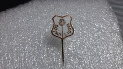 insigna Soimii Lipova foto