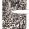 CP Cluj - Gradina botanica. Plante exotice, RPR, circulata 1963, stare buna