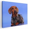 Tablou caine Teckel in costum Tablou canvas pe panza CU RAMA 50x70 cm