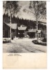 CPIB 15953 CARTE POSTALA - MUNTII CIBINULUI. COMPLEXUL TURISTIC PALTINIS, RPR, Circulata, Fotografie