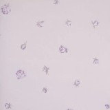 Tapet floral BN 49193