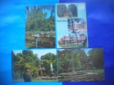 HOPCT LOT 2367 BUZIAS -JUD TIMIS -4 CARTI POSTALE-CIRCULATE