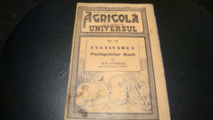 Ilie Isvoranu - Cultivarea patlagelelor rosii-1938-Biblioteca agricola Universul foto
