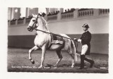 AT1 -Carte Postala-AUSTRIA- Viena, Spanish riding School , necirculata 1968, Fotografie