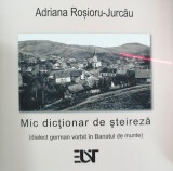 Mic dictionar de steireza