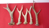 MANERE PENTRU CUTIT DIN CORN LOT DE 5 BUC. (LOT &quot;B&quot;)