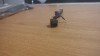 Conector Power DC Laptop Sony Vail PCG-6161M, Dc conector