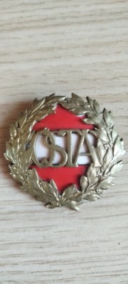 insigna sportiva foto